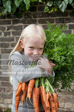 A young girl holding a large bunch of carrots.