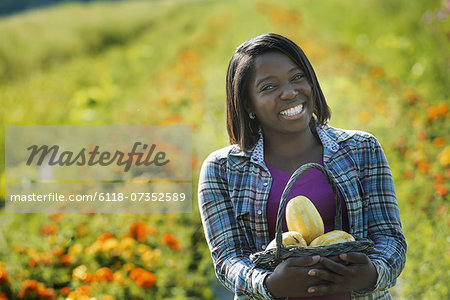 Woman Picking Vegetables at Organic Farm