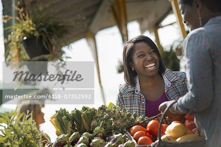 Women Working and Shopping at Organic Farm Stand