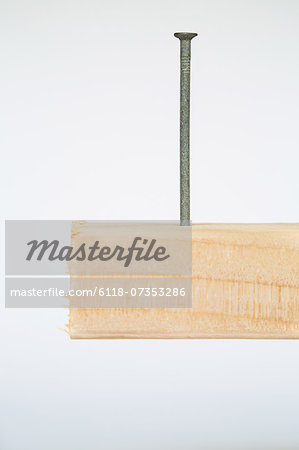 Close up of a metal nail in a block of Spruce wood, a 2x4 wood stud plank.  - Stock Photo - Masterfile - Premium Royalty-Free, Code: 6118-07353286