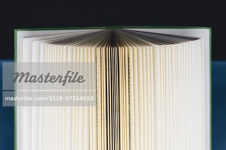 A hard cover printed book, opened and upright. Pages fanned out with graduated yellowing edges, changing to brown and black in the centre.