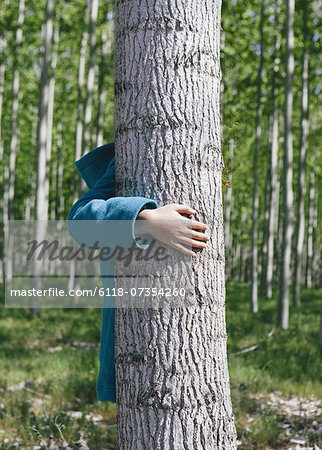 Ten year old girl standing behind commercially grown poplar tree on large tree farm, near Pendleton Ten year old girl standing behind commercially grown poplar tree on large tree farm, near Pendleton