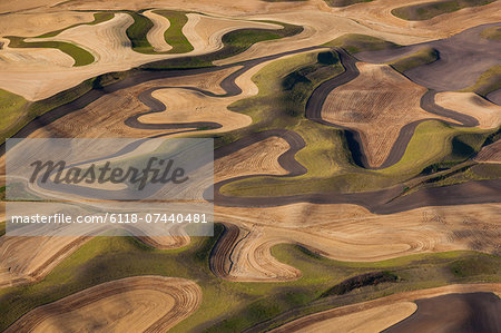 Farmland landscape, with ploughed fields and furrows in Palouse, Washington, USA. An aerial view with natural patterns.