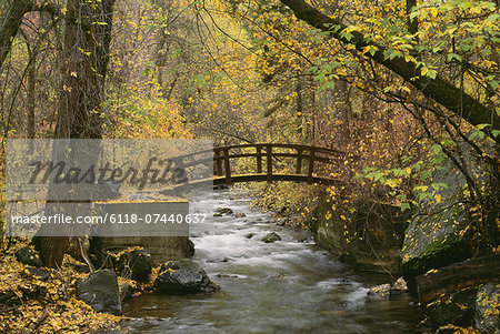 A river running through American Fork Canyon. Small wooden bridge. Autumn foliage, and fallen leaves.