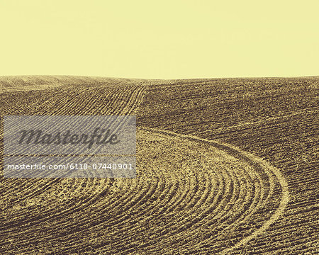 Ploughed earth furrows, patterns on the surface of the soil on farmland near Pullman, Washington, USA