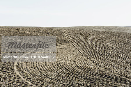 Ploughed earth furrows, patterns on the surface of the soil on farmland near Pullman, Washington, USA