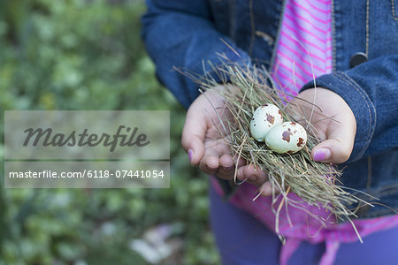 A girl holding out cupped hands, with a small bunch of twigs and two bird's eggs.