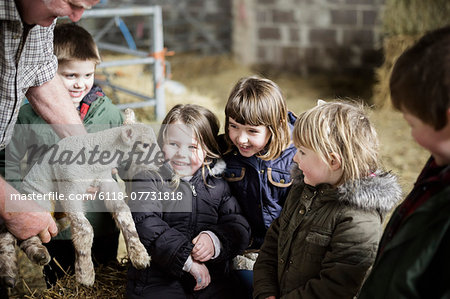 Children and new-born lambs in a lambing shed.