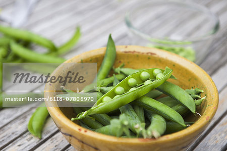 Bowl of freshly picked peas.