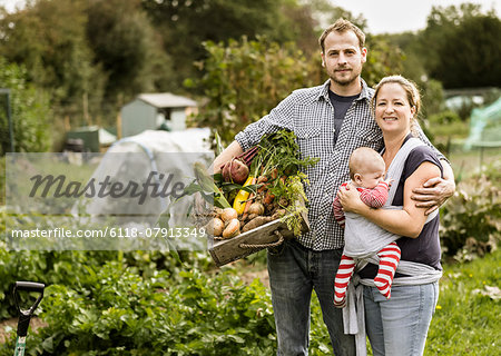 Allotment, England