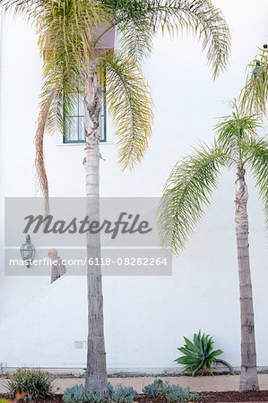 Man walking down a staircase in the distance, palm trees.