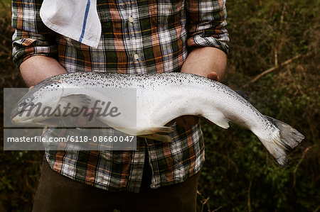 Close up of a chef holding a fresh salmon in his hands.