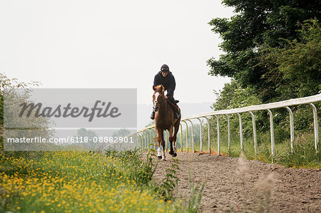 Woman on a horse riding along a cinder path with a railing. Racehorse training on the gallops.