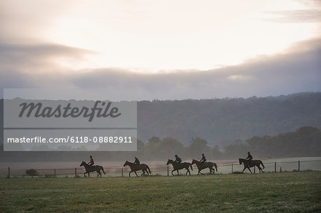 Group of five people on horses riding in a field under a sky with sun and storm clouds. Race horses on the gallops.