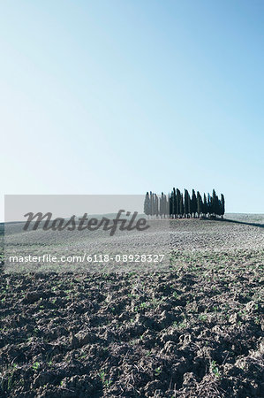 A Tuscan landscape, ploughed fields and view to a small rise and a grove of cypress trees.
