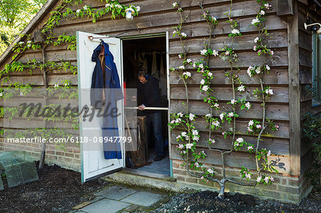 A garden shed workshop with plants trained up the outside, flowering. View through the open door of a man at work.