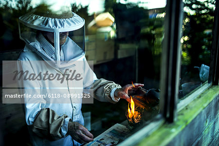 Beekeeper wearing protective hat and mesh faceguard seen through window of garden shed holding a tool over a lighted candle.