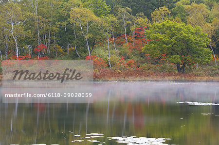 View across a calm lake to trees with autumn foliage, mist over the lake and reflections of the birches and maples in the water.