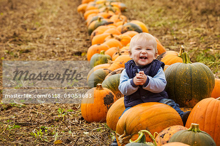 A small boy sitting among rows of bright yellow, green and orange pumpkins laughing and clapping his hands.