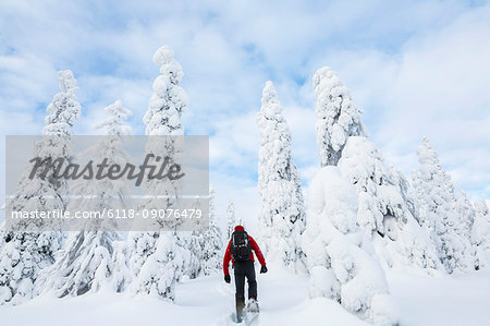 Rear view of man walking in forest with snow-covered trees.
