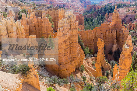 Hoodoo rock formations from the Fairyland Trail, Bryce Canyon National Park, Utah, United States of America, North America