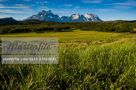 Green grass, Torres del Paine National Park, Patagonia, Chile, South America