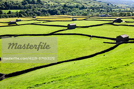 Barn and dry stone walls in meadows at Gunnerside, Swaledale, Yorkshire Dales, Yorkshire, England, United Kingdom, Europe