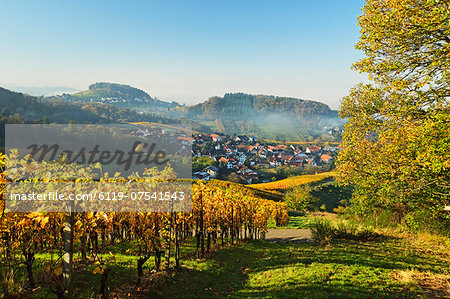 Vineyard landscape and Riegel village, Ortenau, Baden Wine Route, Baden-Wurttemberg, Germany, Europe