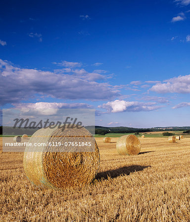 Straw bales, Swabian Alb, Baden Wurttemberg, Germany, Europe