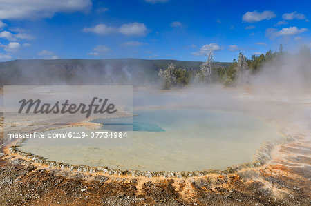 Trees crusted in frost and thermal features, cold Autumn (Fall) day, Upper Geyser Basin, Yellowstone National Park, UNESCO World Heritage Site, Wyoming, United States of America, North America