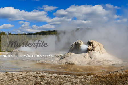 Rocket and Grotto cone geysers erupt, Upper Geyser Basin, Yellowstone National Park, UNESCO World Heritage Site, Wyoming, United States of America, North America