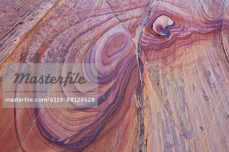 Purple loops in sandstone, Coyote Buttes Wilderness, Vermilion Cliffs National Monument, Arizona, United States of America, North America