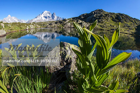 Aiguille Verte from Lac des Cheserys, Haute Savoie, French Alps, France, Europe