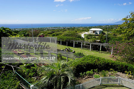Nevis Botanical Garden, Nevis, St. Kitts and Nevis, Leeward Islands, West Indies, Caribbean, Central America