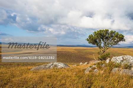 Overlook over the highlands of the Nyika National Park, Malawi, Africa