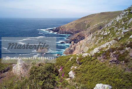 Tregerthen cliff, near St. Ives, Cornwall, England, United Kingdom, Europe