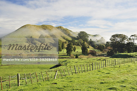 Farmland, near Matawai, Gisborne, North Island, New Zealand, Pacific