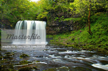 Sgwd Ddwli Uchaf waterfall, Ystradfellte, Brecon Beacons National Park, Powys, Wales, United Kingdom, Europe