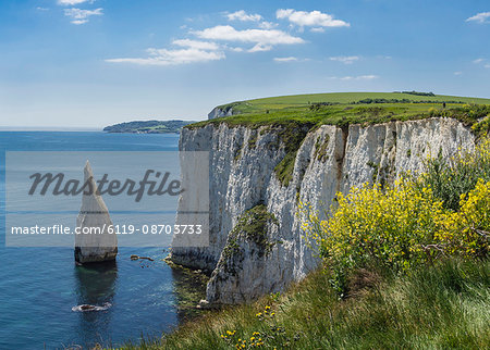 The Chalk cliffs of Ballard Down with The Pinnacles Stack in Swanage Bay, near Handfast Point, Isle of Purbeck, Jurassic Coast, UNESCO World Heritage Site, Dorset, England, United Kingdom, Europe