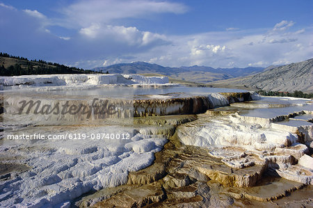 Minerva Terrace, Mammoth Hot Springs, Yellowstone National Park, UNESCO World Heritage Site, Wyoming, United States of America (U.S.A.), North America