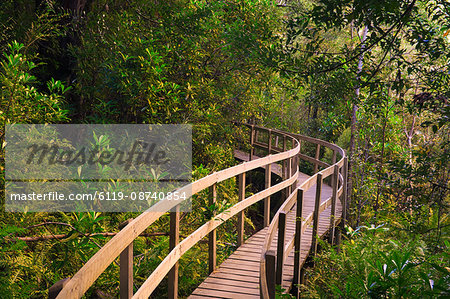Boardwalk, Tahune Forest Reserve, Tasmania, Australia, Pacific