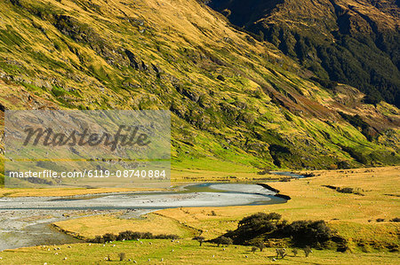 Matukituki Valley, Mount Aspiring National Park, Central Otago, South Island, New Zealand, Pacific