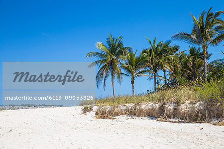 Cabbage Beach, Paradise Island, Nassau, Bahamas, West Indies, Caribbean, Central America Cabbage Beach, Paradise Island, Nassau, Bahamas, West Indies, Caribbean, Central America