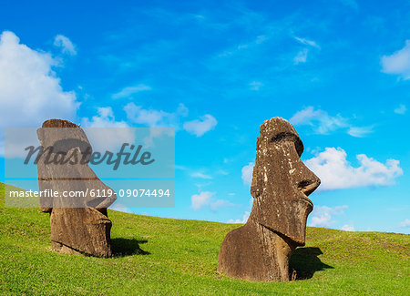 Moais at the quarry on the slope of the Rano Raraku Volcano, Rapa Nui National Park, UNESCO World Heritage Site, Easter Island, Chile, South America