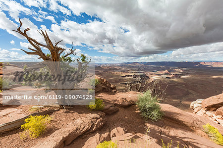 Desert landscape, Canyonlands National Park, Moab, Utah, United States of America, North America