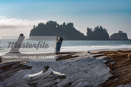 James Island with driftwood on the beach at La Push on the Pacific Northwest coast, Washington State, United States of America, North America