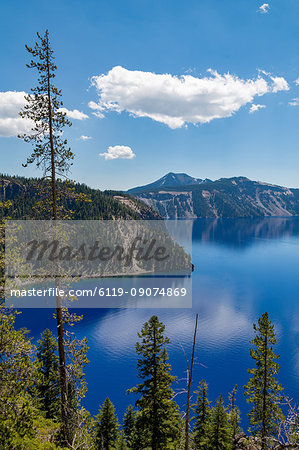Cloud reflected in the still waters of Crater Lake, the deepest lake in the U.S.A., part of the Cascade Range, Oregon, United States of America, North America