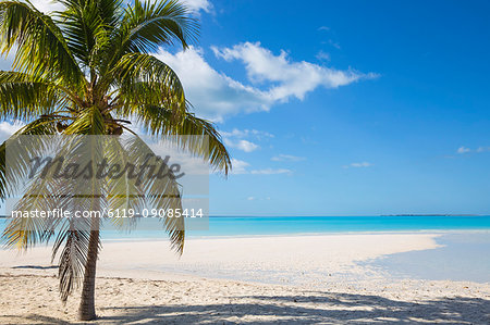 Beach at Treasure Cay, Great Abaco, Abaco Islands, Bahamas, West Indies, Central America Beach at Treasure Cay, Great Abaco, Abaco Islands, Bahamas, West Indies, Central America