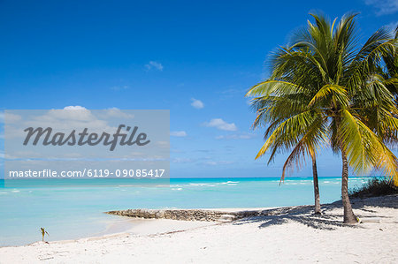 Beach at Treasure Cay, Great Abaco, Abaco Islands, Bahamas, West Indies, Central America Beach at Treasure Cay, Great Abaco, Abaco Islands, Bahamas, West Indies, Central America