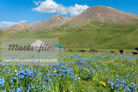 Nomad yurt camp, Song Kol Lake, Naryn province, Kyrgyzstan, Central Asia, Asia